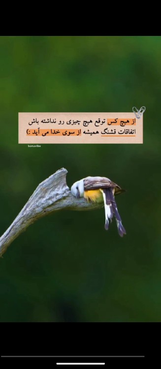 🌹دهنده بی منت فقط خدا🙏🏽🌹