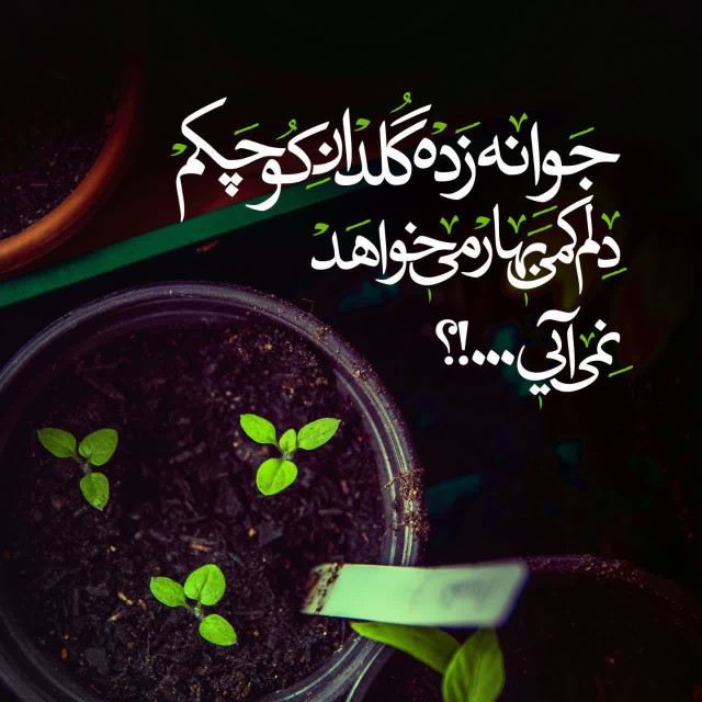 ‌
🌱باید برای  آمدنش لحظه را شمُـرد...

🌱آن لحظه ای که رخ ب