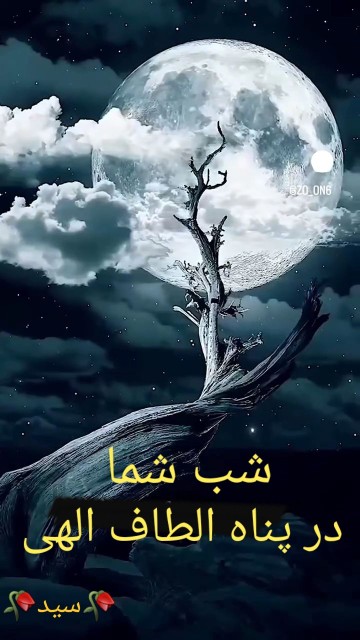 شب خوش