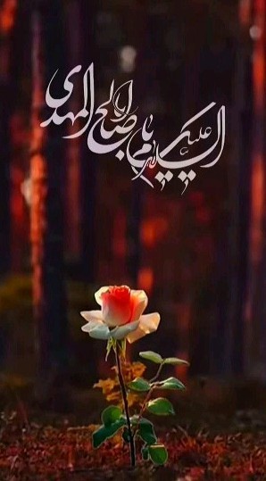 یا ابا صالح المهدی ادرکنی 🌹