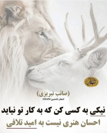 نیکی کردن 