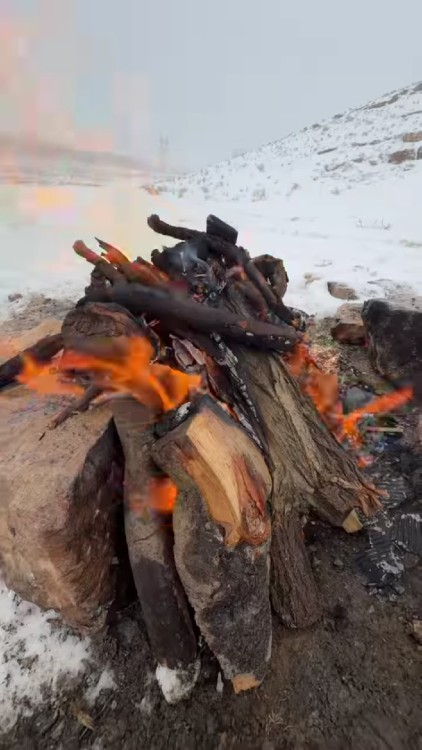 جاتون خالی میچسبه تنهایی