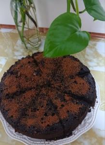 بفرمایید کیک خیس خودم پز🍰☕️