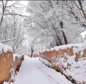 کوچه باغ برفی