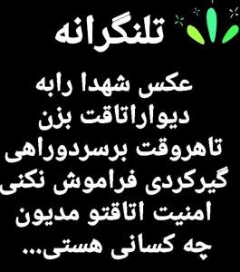 کشورعزیزمون مفت بدست نیومده تامفت ازدست بره..🌻