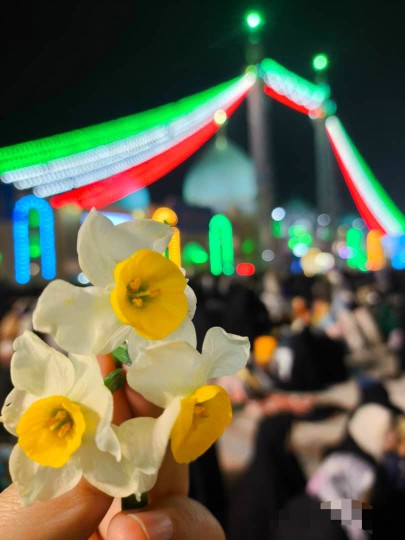 شب خوب جمکران جاتون سبز💚🌺💚هرکس برای‌خویش پناهی گزیده است
