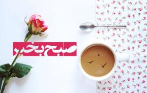 سلام صبح شما بخیر 🌹🌹