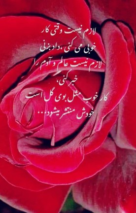 🌹🌼کار خوب مثل گل است🌼🌹