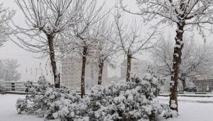 صبح زمستونیتون ‌بشادی ☃️❄️🌨سومین روزاسفندبارش برف خوبی داری