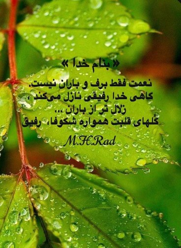 گل های قلبت همواره شکوفا رفیق💚