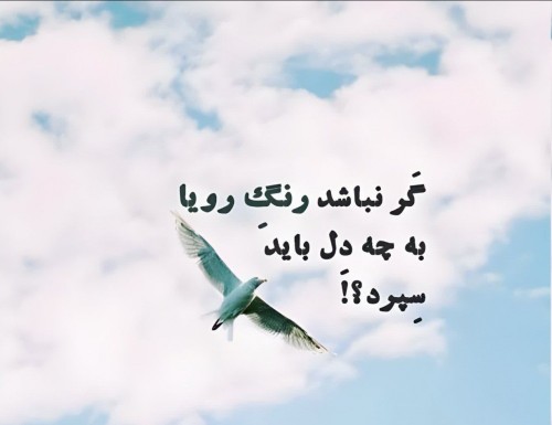 گر نباشد رنگ رویا به چه دل باید سپرد😌