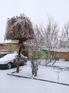 برف برکت خداوندی