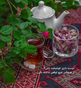 عصرتون دلبرانه ☕🍩☕