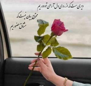 عصر بچه های عکاسخونه،بخیرو خوشی 😊🌹🌹🌹