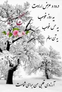 ساز دلتون کوک‌ 🙏🏻🌷