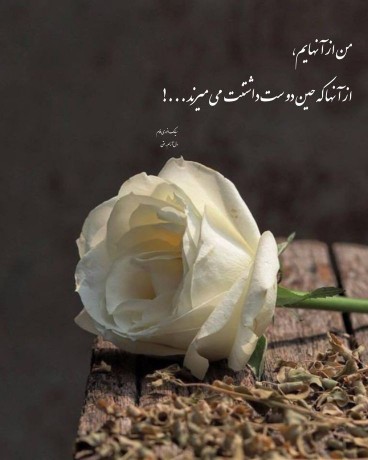 من از آن هایم ......