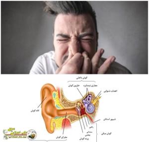 نگه داشتن عطسه چه خطراتی دارد؟🔎

▫️صدمه به ساختارهای ظریف گ