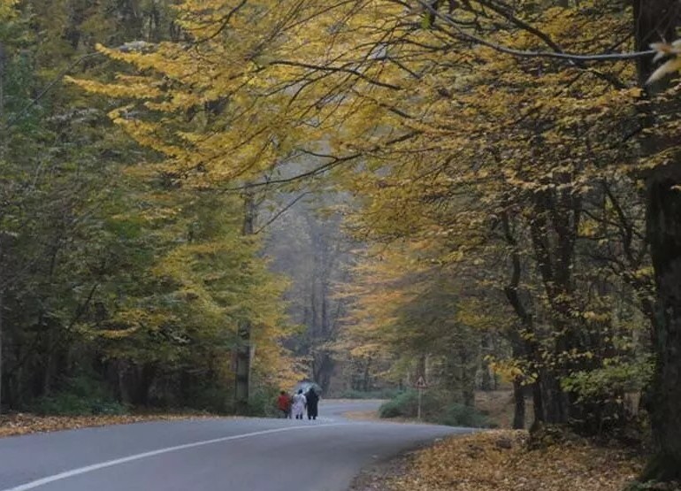 مسیر روستا ی درازنو  شهرستان کرد کوی،،،،استان گلستان 