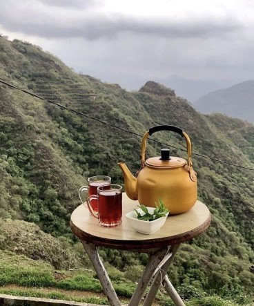 عصرتون خوش رنگ🫖☕🥮