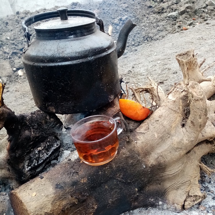 سلام گل های خبری 🤞 🤞 🤞جاتون خالی 🤞 🍧 🎯