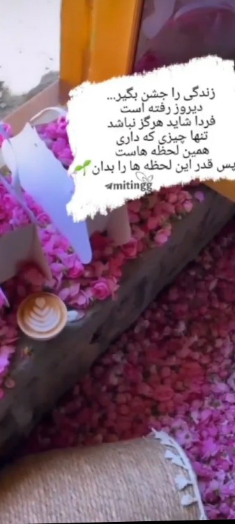 بچه های خبری از مهران لر و امید عرب و رضا خبری نیست 🤔🤔