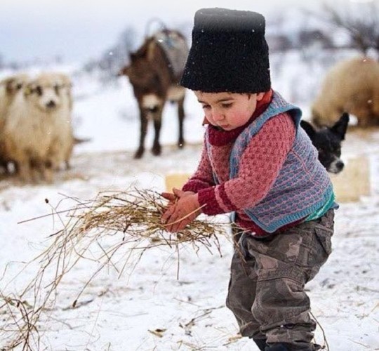 ❤️❄️شکرگزار باش❄️❤️