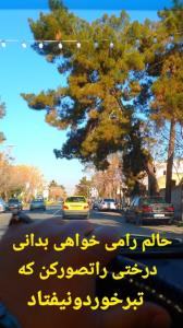 .

خوش به حال مردها....
دلشان که بگیرد ؛ سیگار می کشند 
هر 