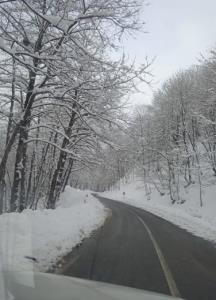 کمی زیبایی ببینید❄❄😍😍