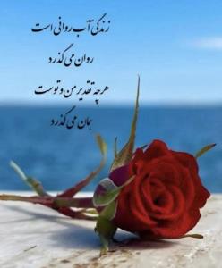 زندگی آب روانی است روان می گذرد🌹🌹🌹✔️✔️