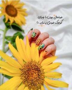 💛می‌توان ساده زندگی...👇🏻