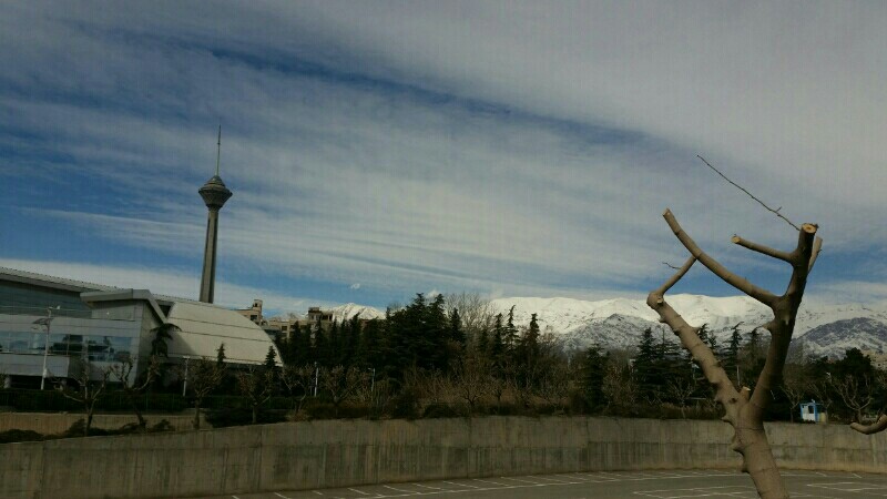 تهران بادی.۰۷/ ۱۲/ ۱۴۰۳.نمایی از بوستان گفتگو هنرمند بی نشان