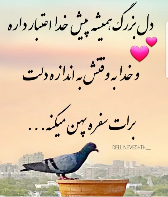 سخن دل 💕