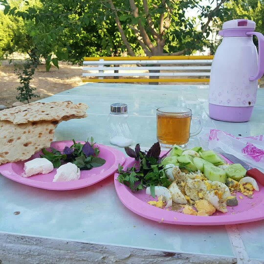 بدون تعارف بفرمایید  🍁