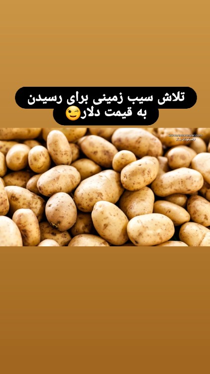 ماجرای سیب زمینی