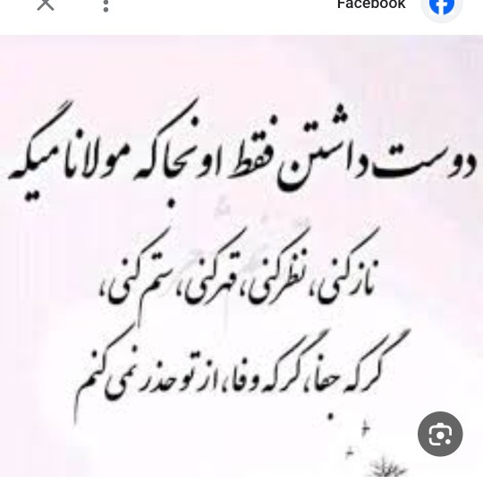 اشعاری از مو لا نا