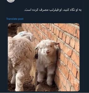 فیلر لب استفاده کرده🥲😅