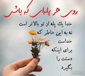 عصر بخیر 🌹