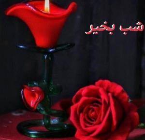 شب بخیر