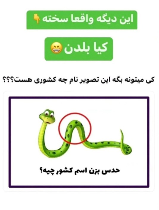 حدس بزنید 