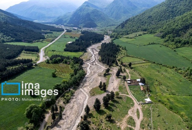 جنگل سرو زربین،بخش جنوبی شهرستان رامیان ،استان گلستان 