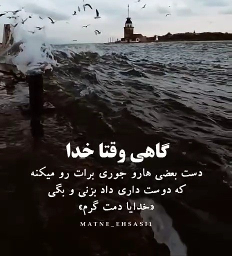 دقیقا 👌کیا قبول دارن 👌👌