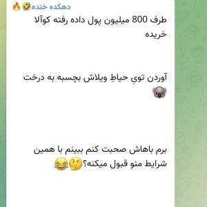 با این پول با سرمیرم تو درخت🤣🤣