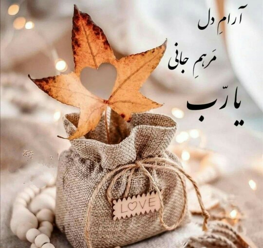 🌸گر هزاران دام باشد در قدم؛
چون تو با مایی نباشد هیچ غم🌸