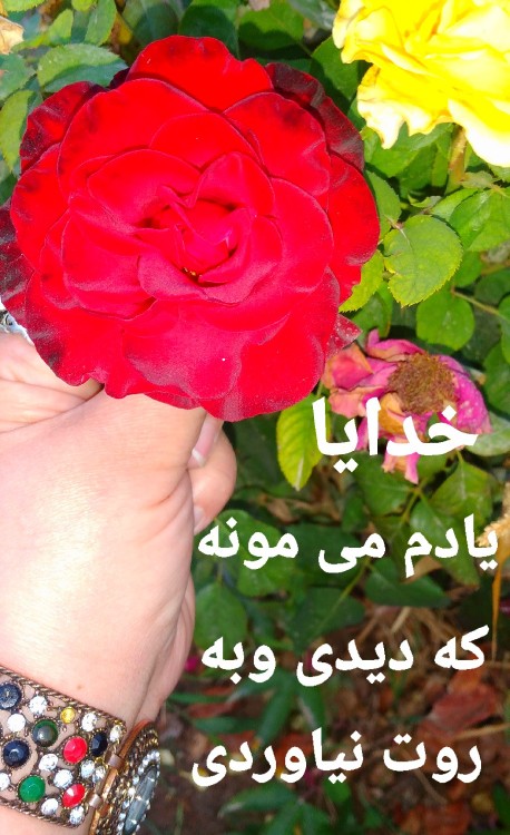 🌷مومنین روزه دار !

🌷وقت_افطار
اگه لبخند فرشته‌ها رو 
