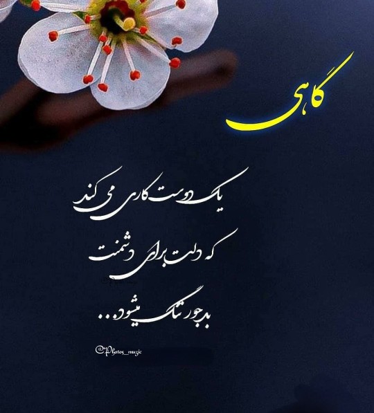 گاهی یک دوست کاری می کند
که دلت 