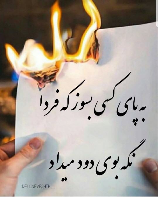 نصیحت ناب