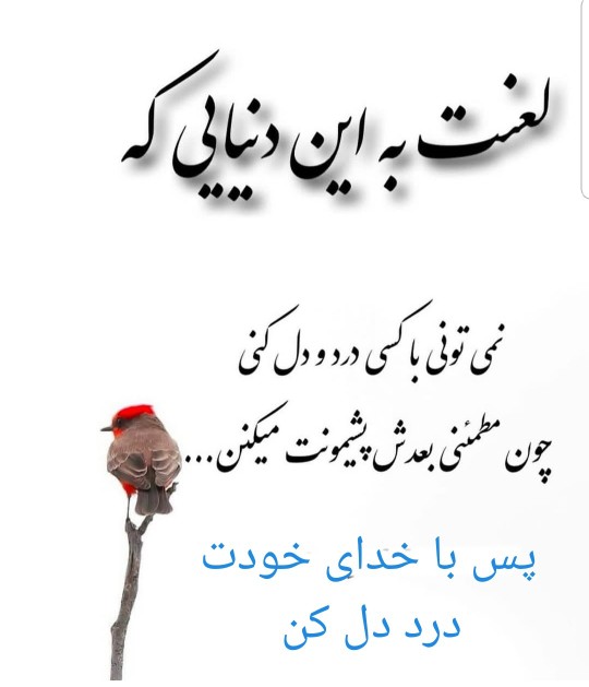 نصیحت ناب