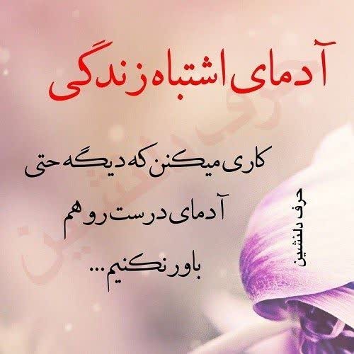 عصر بخیر 