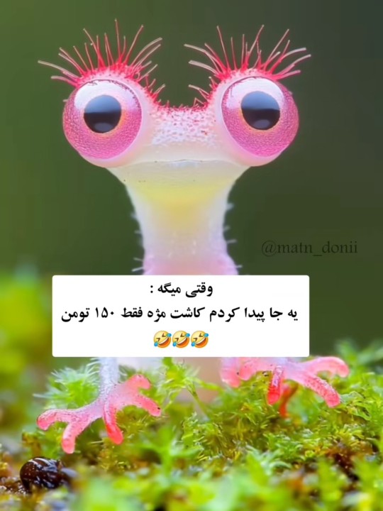 فقط 150😂🤣