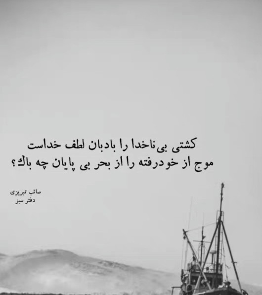 صائب